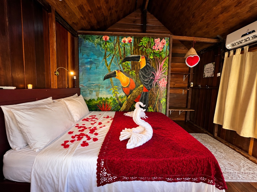 Cama decorada com pétalas de rosa e cisne de toalha — Pacote Básico