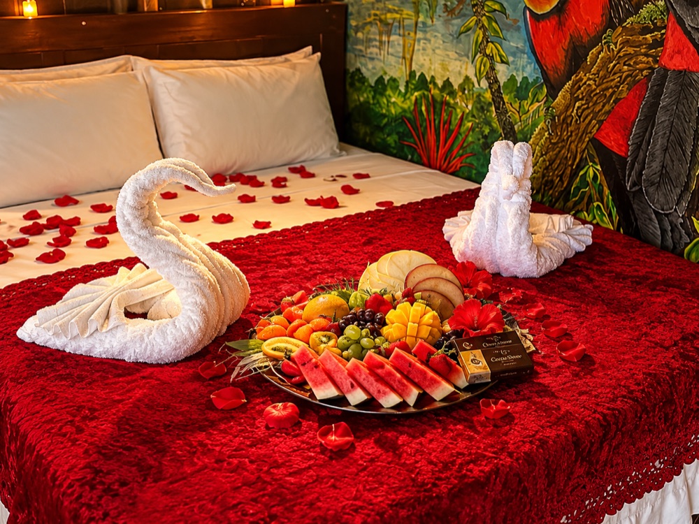 Cama decorada com dois cisnes de toalha e travessa de frutas — Pacote Standard